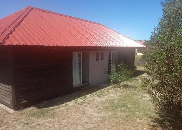 Palafito
